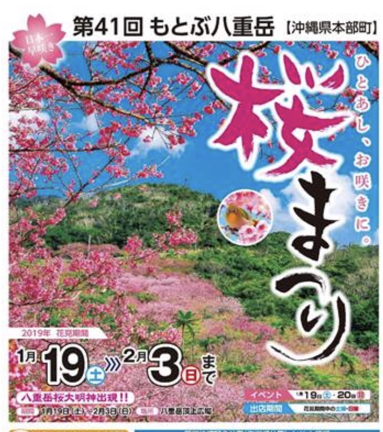  日本一早い桜祭り